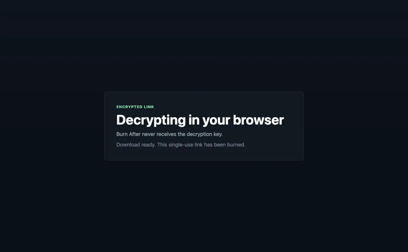 File decrypted in the browser as the single-use link is burned