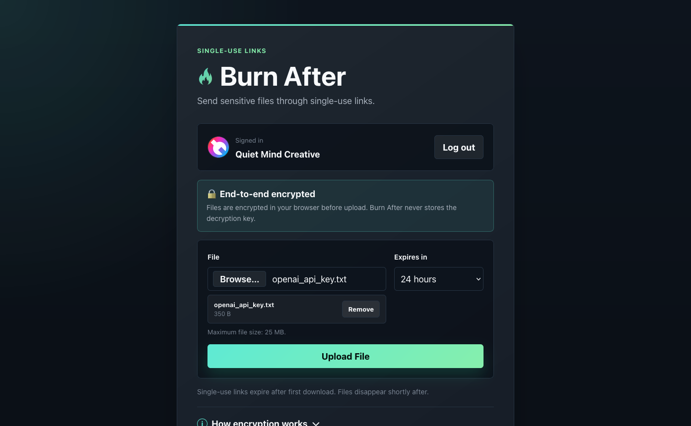 Upload form with a file selected and a 24-hour expiration